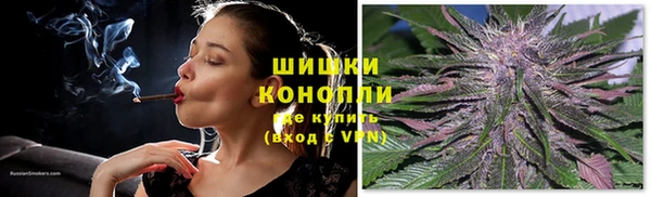 ГАЛЛЮЦИНОГЕННЫЕ ГРИБЫ Беломорск