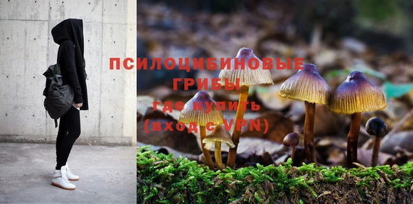 ГАЛЛЮЦИНОГЕННЫЕ ГРИБЫ Беломорск